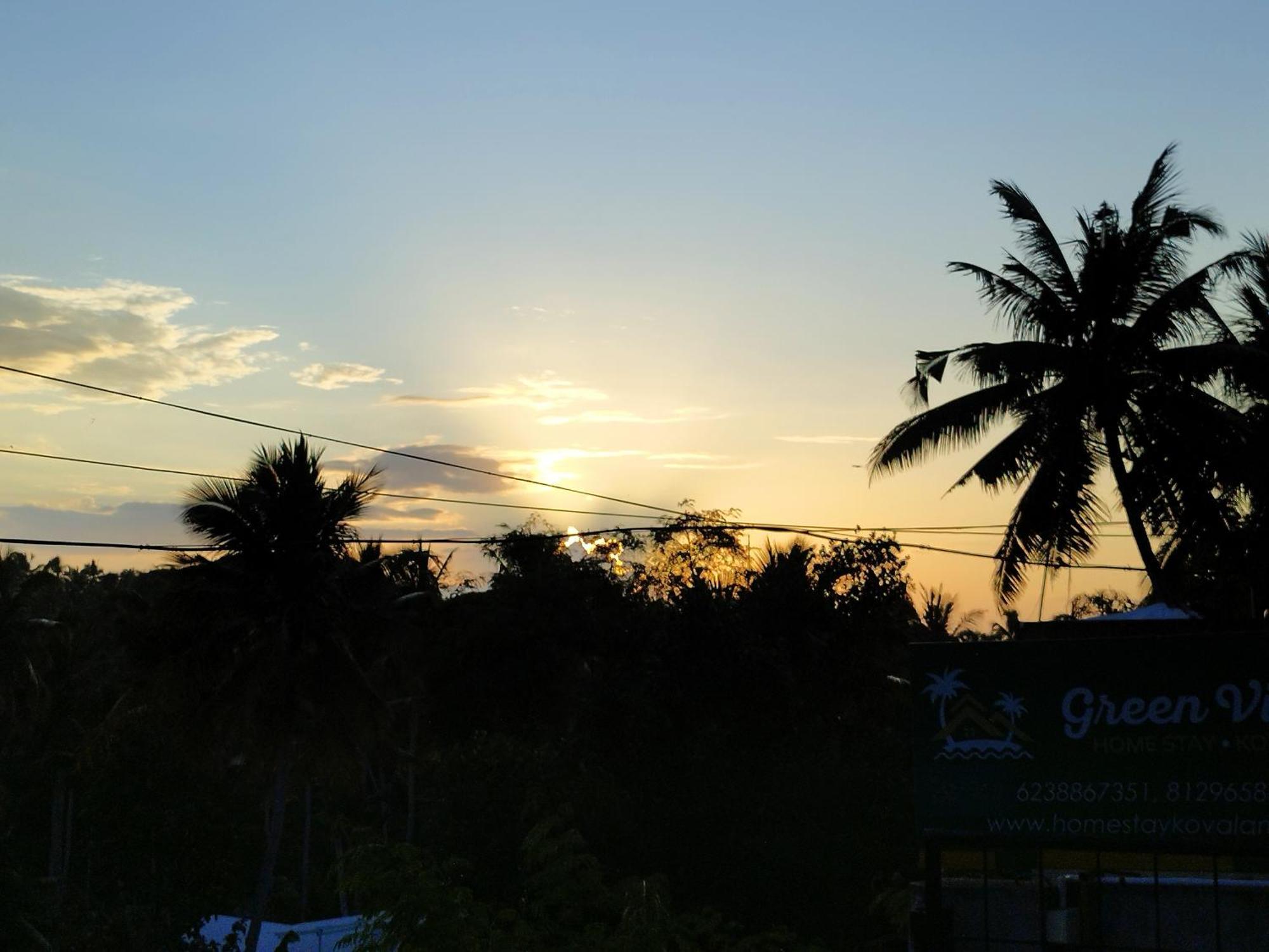 Greenview Homestay Kovalam Thiruvananthapuram Exterior photo