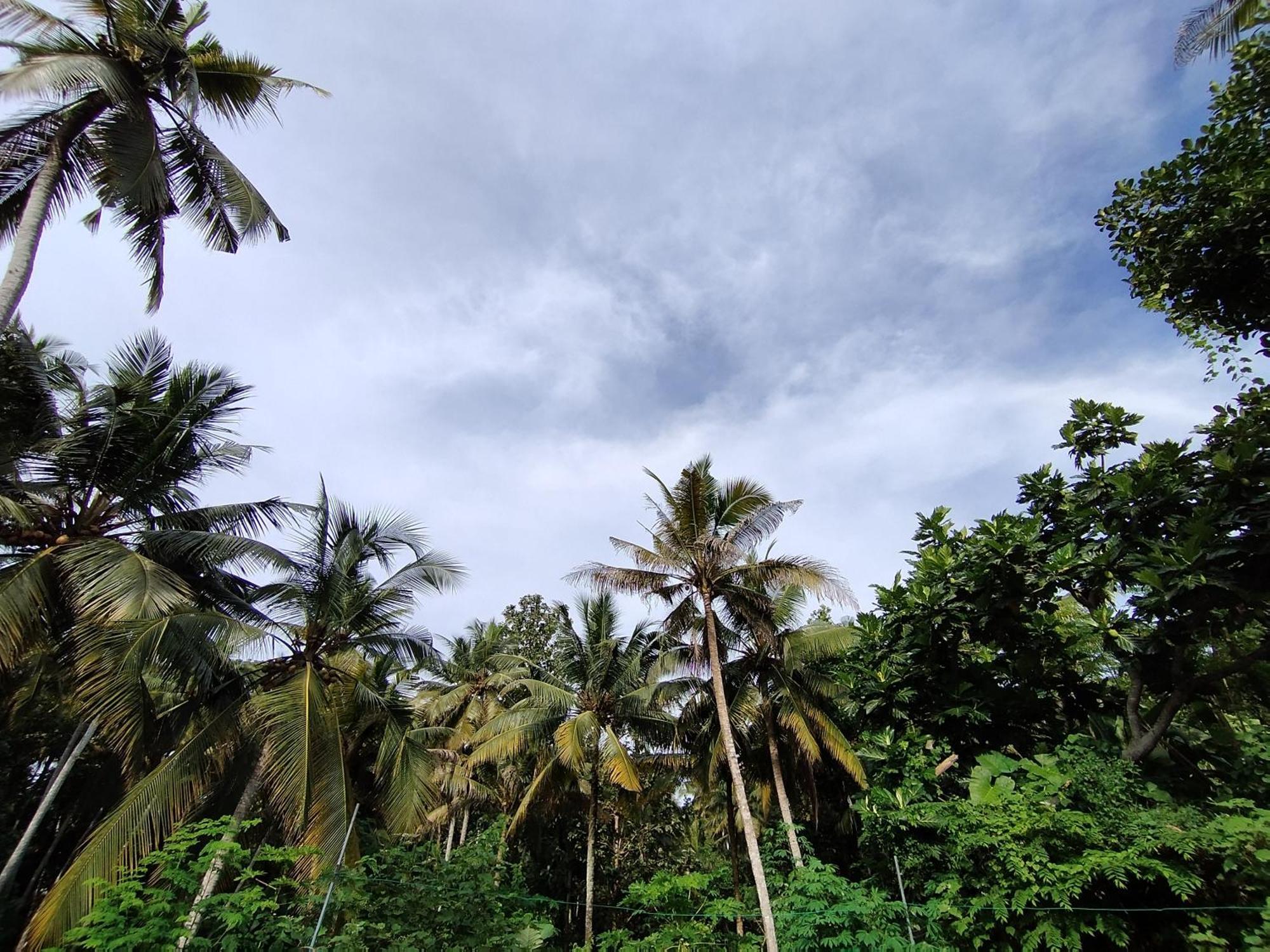 Greenview Homestay Kovalam Thiruvananthapuram Exterior photo
